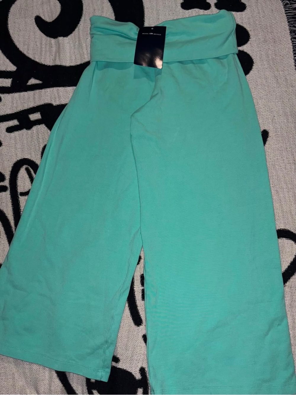 Brandy Melville Priscilla Capri Pants - Teal